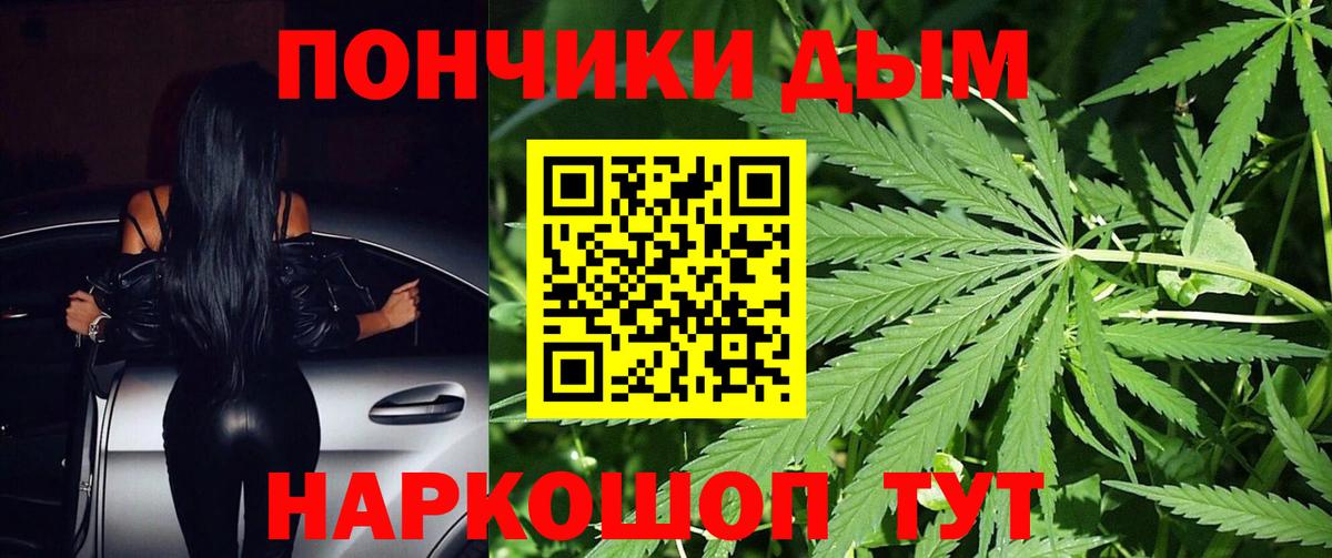 Конопля ГИДРОПОН  Конопля OG Kush  Вход с VPN  Одинцово  Канабис конопля 
